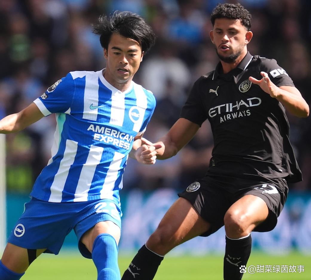 荷甲积分榜最新排名-开云体育中国官网